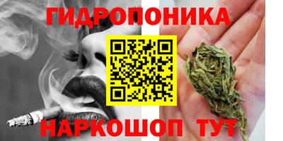 крисы Абакан
