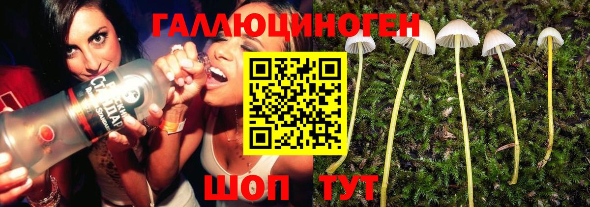 Галлюциногенные грибы мухоморы Альметьевск