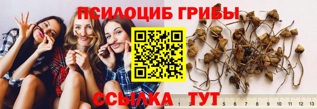 Альметьевск  Псилоцибиновые грибы GOLDEN TEACHER  Вход с VPN  Галлюциногенные грибы мухоморы 